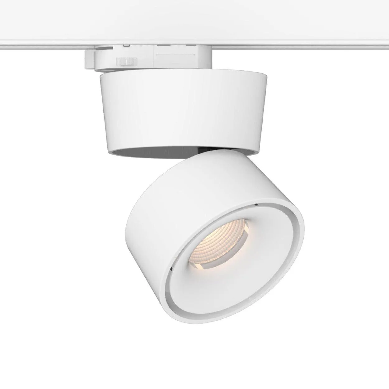 ANKUR EURO BEND LED LIGHT