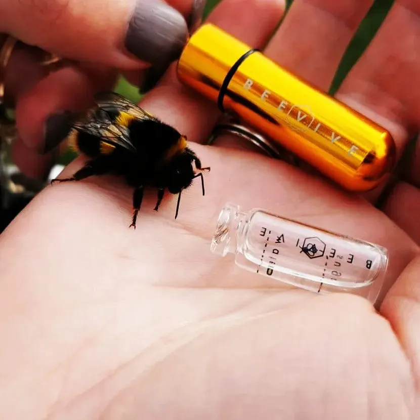 Bee Revival Kit - Butterfly & Bee Reviver, Keychain, Black or Gold