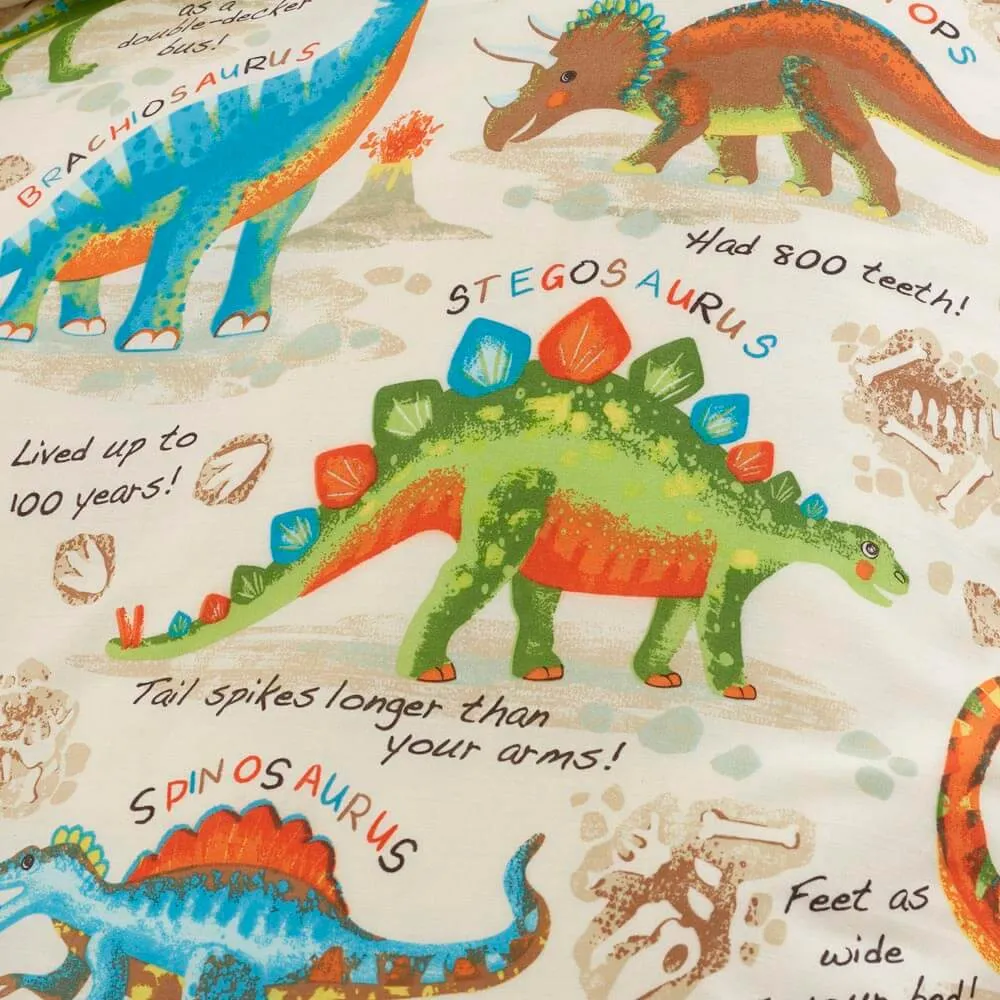 Dino Discovery Bedding