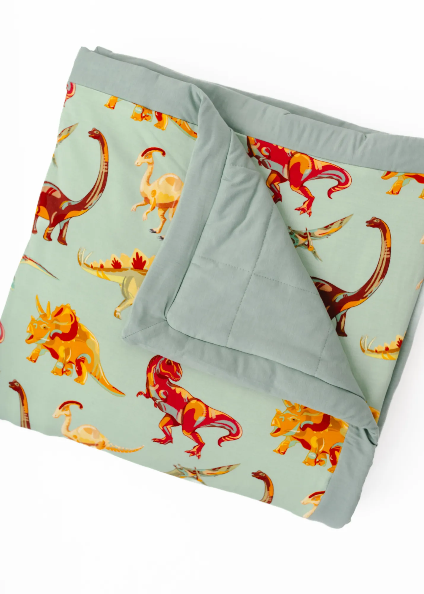 Dinosaurs Large Quilted Bamboo Blanket