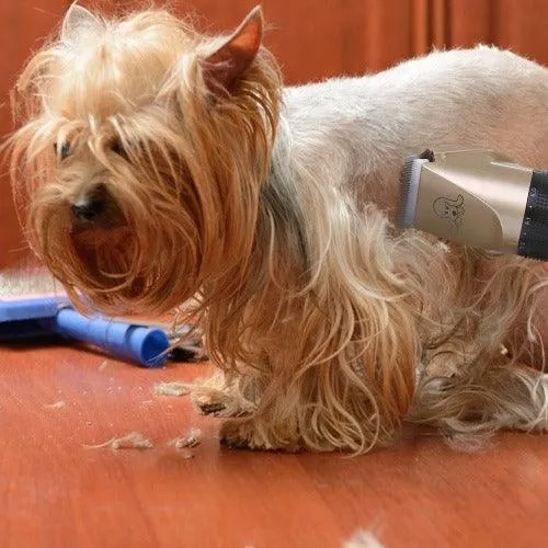 Electric Puppy Clipper