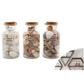 Faro Mix Sea Shells in Glass Bottle with Cork