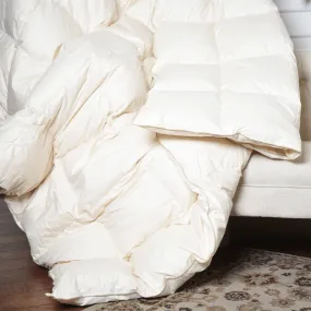 Natural Nights 700 Year Round Down Comforter-King (105" x 90")