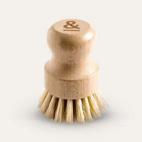 Pot Scrubber | Beechwood