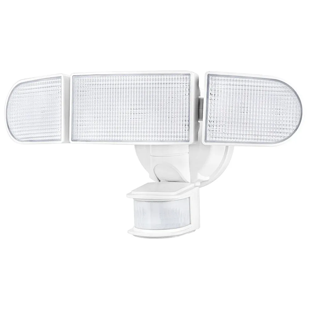 Rich Solar Solar Motion Security Light