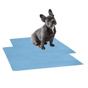 Waterproof Pet Training Puppy Pad (Small & Pack of 2)